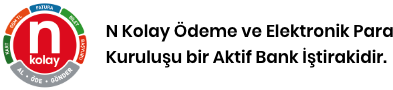 N Kolay payment services logo